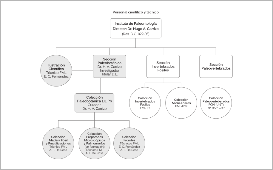 Figura 3: Organigrama del Instituto de Paleontología.