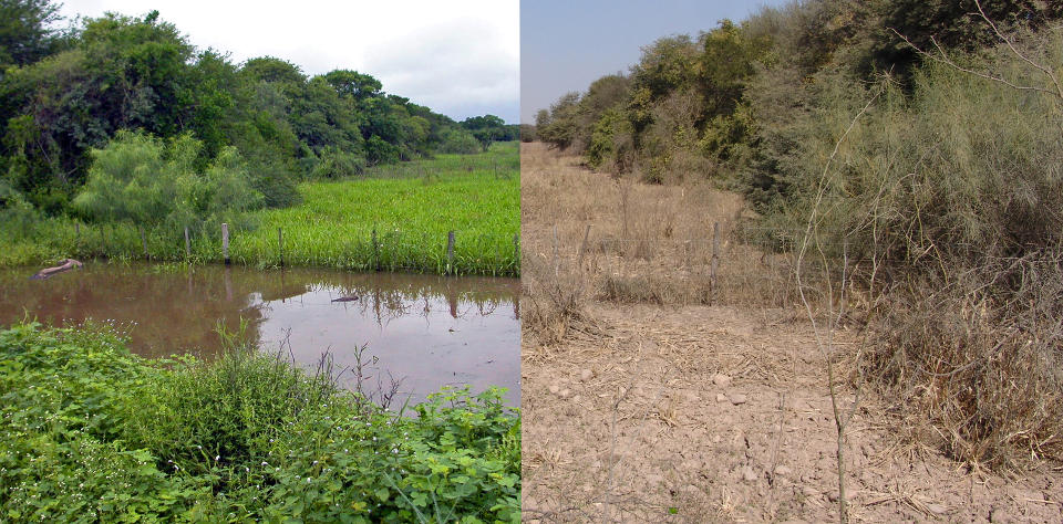 Ambiente temporario en el que habita esta especie. A la izquierda, durante el periodo con agua en el verano y a la derecha, en invierno, momento en el que el charco se encuentra completamente seco y los huevos de estos peces están en el sustrato.