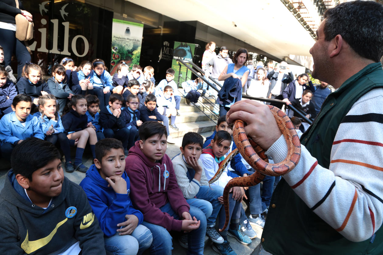 Semana de la ciencia en Fundación Miguel Lillo. Foto de Fundación Miguel Lillo (Mauricio Suárez)