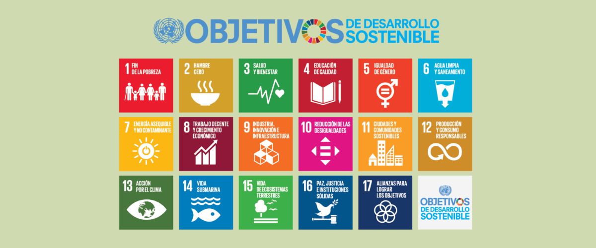 ONU. Progama de Desarrollo sostenible.