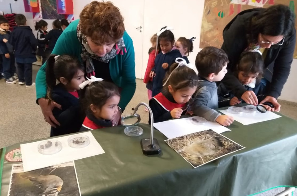 2019 - Charlas de ornitología para estudiantes de niveles primarios, Fundación Miguel Lillo