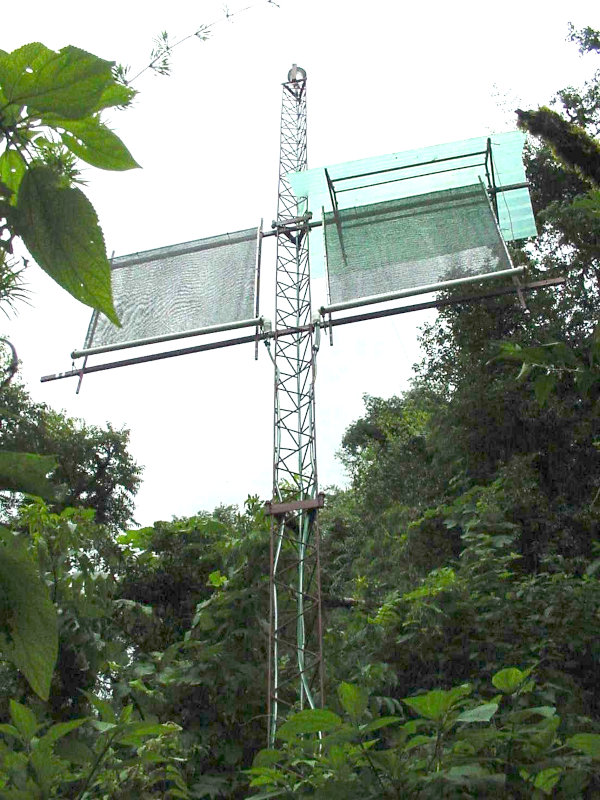 Estación de niebla