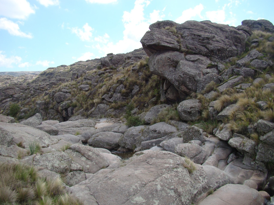 Ambiente provincia biogeografica Comechingones en centro de Argentina