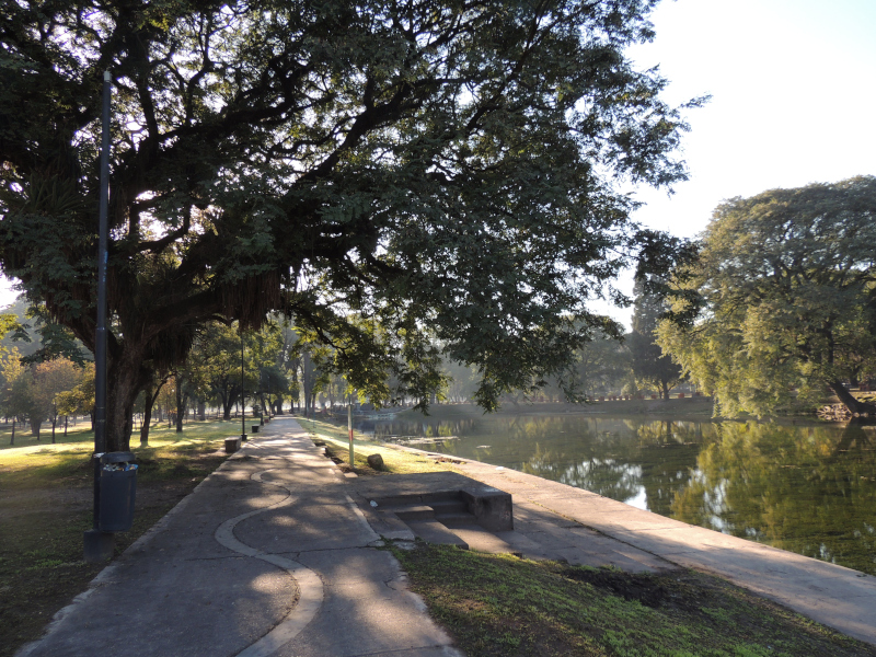 Un libro clave para conocer y cuidar la biodiversidad del Parque 9 de Julio