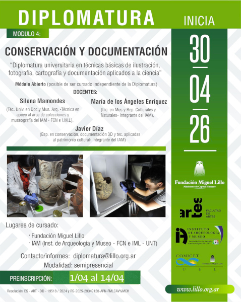 diplomatura 2026, modulo 4