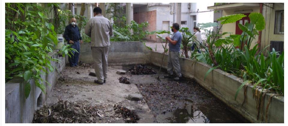 Controles y monitoreos de criaderos de mosquitos en la FML junto al Ministerio de Salud de Nación. 