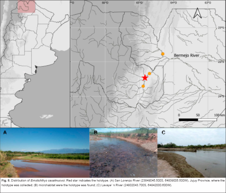 Científicos de la FML descubren nueva especie de bagre en el Bermejo