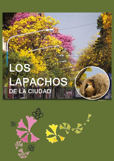Los lapachos de la ciudad, infografía (2023)