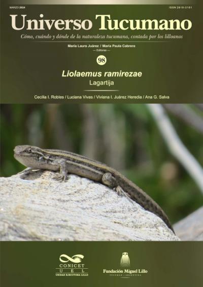 Universo Tucumano 98 (2024): Lagartija, Liolaemus ramirezae