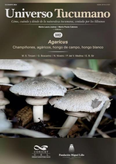 Universo Tucumano 102 (2024): Champiñones, agáricos, hongo de campo, hongo blanco (Agaricus) Autores/as
