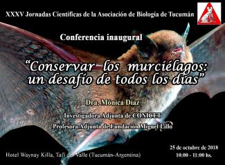 Conservar los murciélagos: un desafío de todos los días