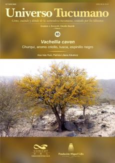 Universo Tucumano 83 (2022): Churqui, aromo criollo, tusca, espinillo negro; Vachellia caven