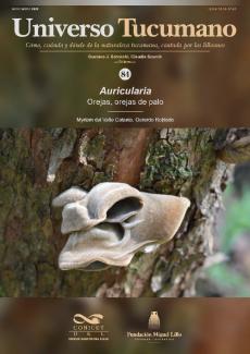 Universo Tucumano 84 (2022): Orejas, orejas de palo (Auricularia)