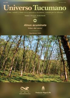 Universo Tucumano 90 (2023): Aliso del cerro (Alnus acuminata)