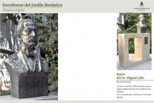 Busto del Dr. Miguel Lillo (Renato Franceschi, Fundación Miguel Lillo)