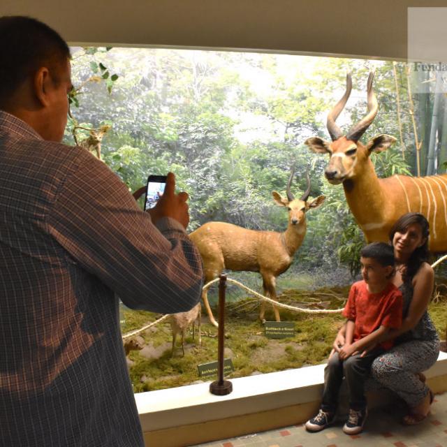 Familia visitando el Museo de Cs. Naturales Lillo