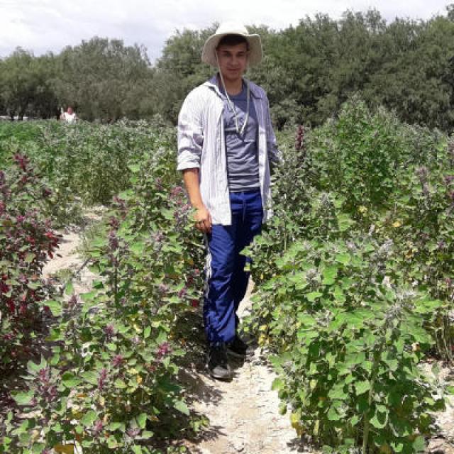 La FML ya realizó un asesoramiento sobre quinoa en Egipto. Foto Juan González