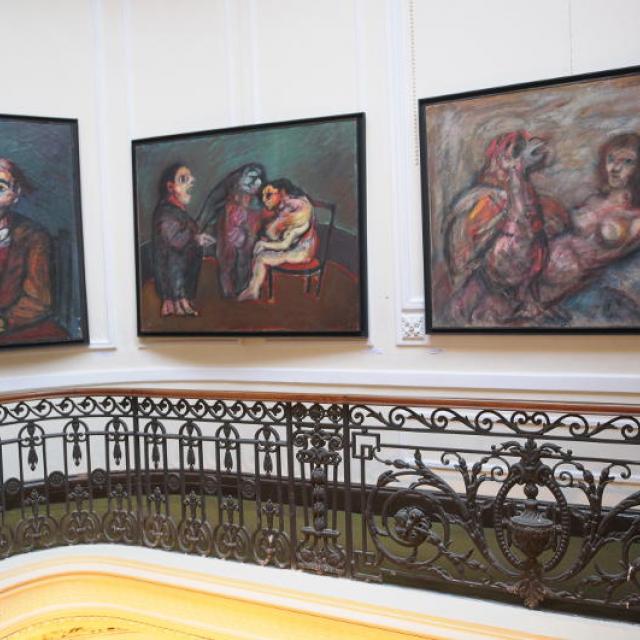 Muestras plásticas en el CCR (Fundación Miguel Lillo)