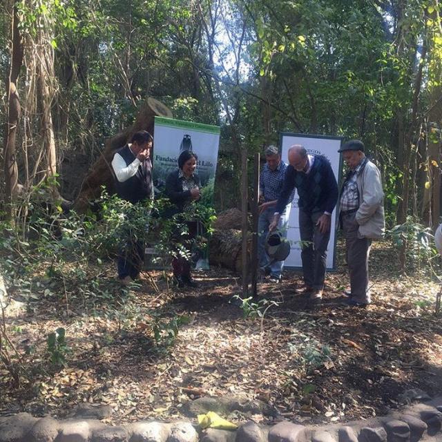 Día del Árbol en Fundación Miguel Lillo (2018)