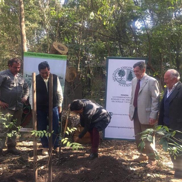 Día del Árbol en Fundación Miguel Lillo (2018)