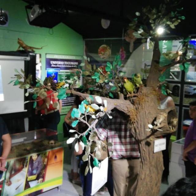Fundación Miguel Lillo en la EXPO 2018: Naturaleza, ciencia y conservación