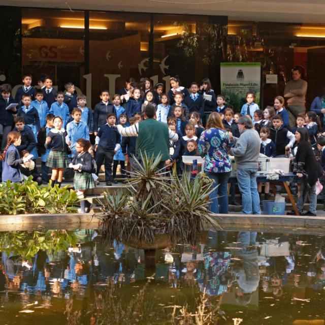 Semana de la ciencia en Fundación Miguel Lillo. Foto de Fundación Miguel Lillo (Mauricio Suárez)