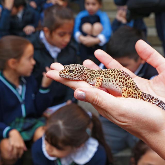 Semana de la ciencia en Fundación Miguel Lillo. Foto de Fundación Miguel Lillo (Mauricio Suárez)