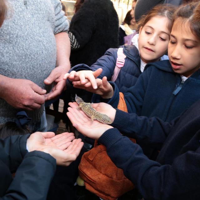 Semana de la ciencia en Fundación Miguel Lillo. Foto de Fundación Miguel Lillo (Mauricio Suárez)