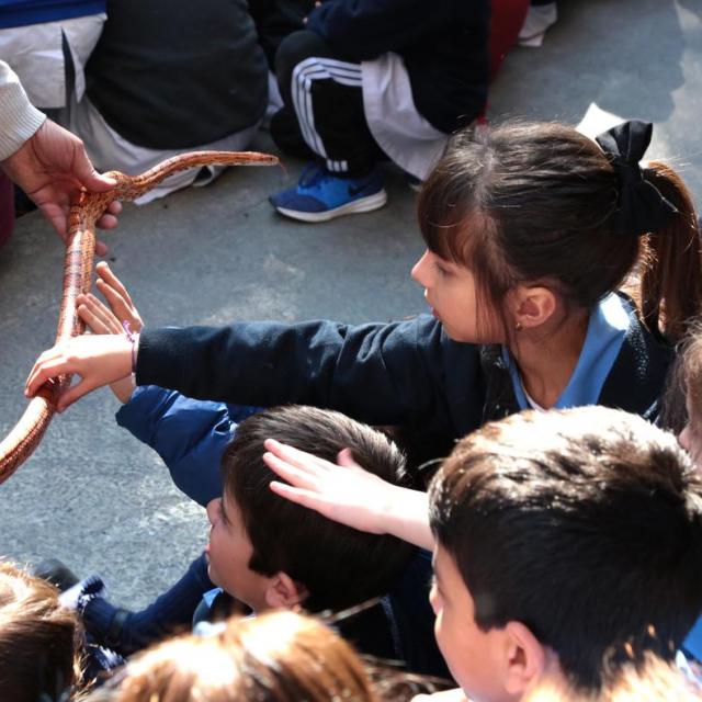 Semana de la ciencia en Fundación Miguel Lillo. Foto de Fundación Miguel Lillo (Mauricio Suárez)