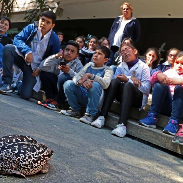 Semana de la ciencia en Fundación Miguel Lillo. Foto de Fundación Miguel Lillo (Mauricio Suárez)