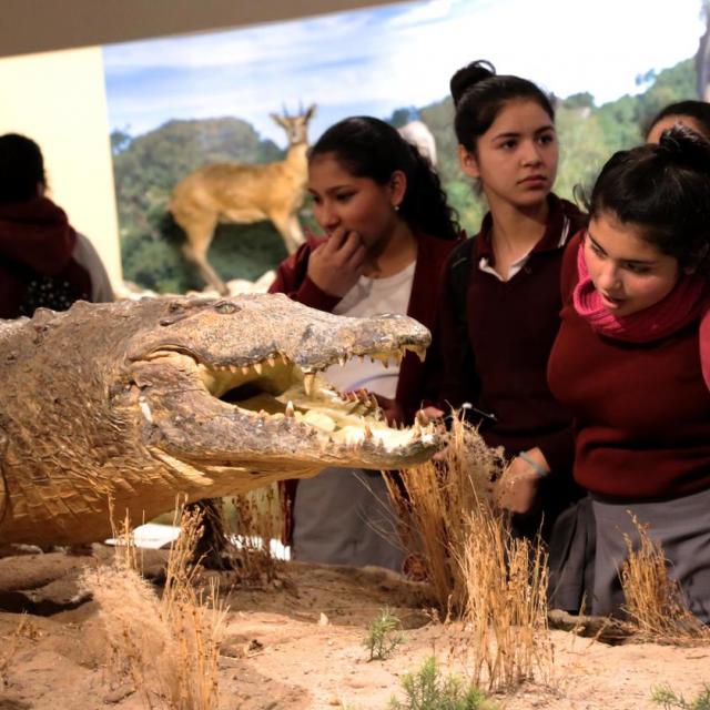 Semana de la ciencia en Fundación Miguel Lillo. Foto de Fundación Miguel Lillo (Mauricio Suárez)