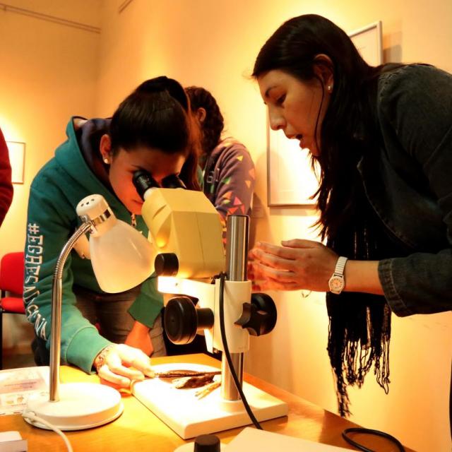 Semana de la ciencia en Fundación Miguel Lillo. Foto de Fundación Miguel Lillo (Mauricio Suárez)