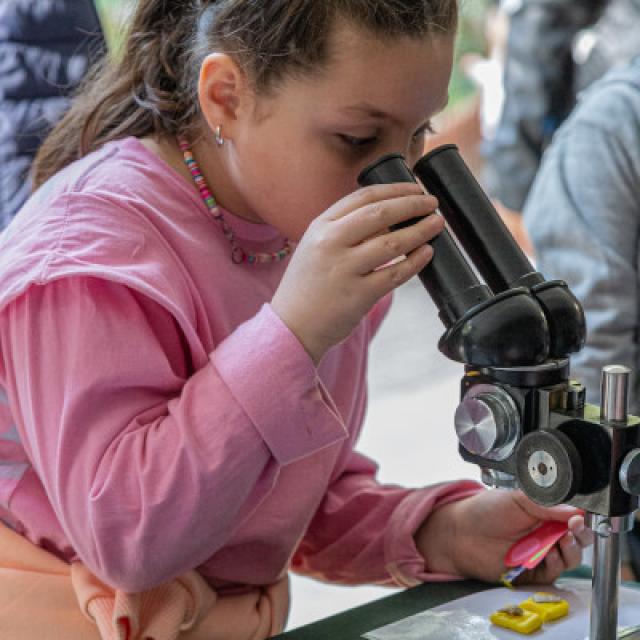 Miles de niños aprendieron jugando sobre las Ciencias Naturales