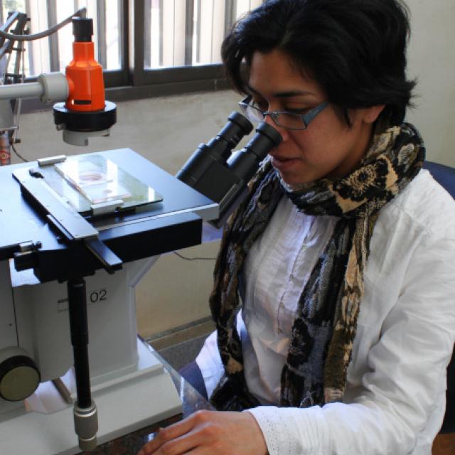 La FML, incluida en el ranking de instituciones científicas SCImago